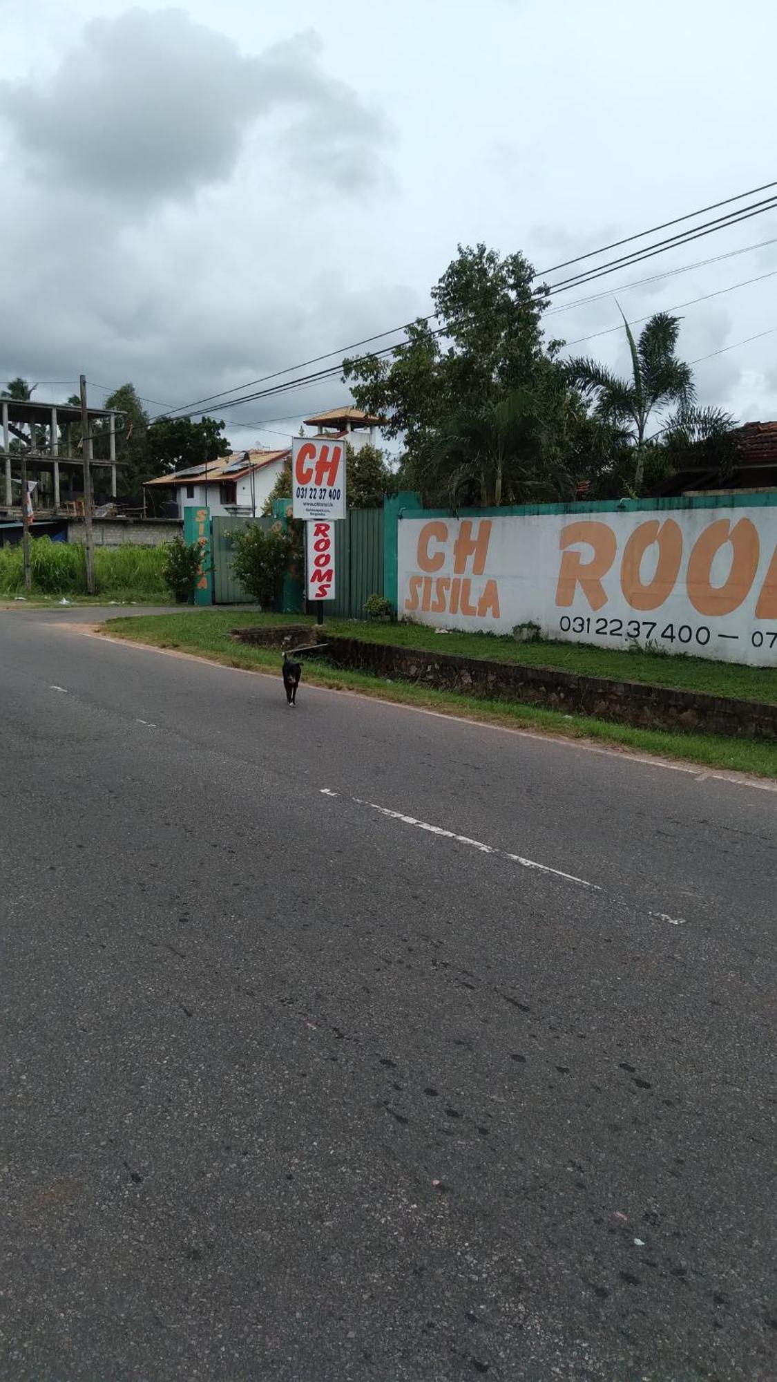 Ch Rooms - Transit Airport Negombo Dış mekan fotoğraf