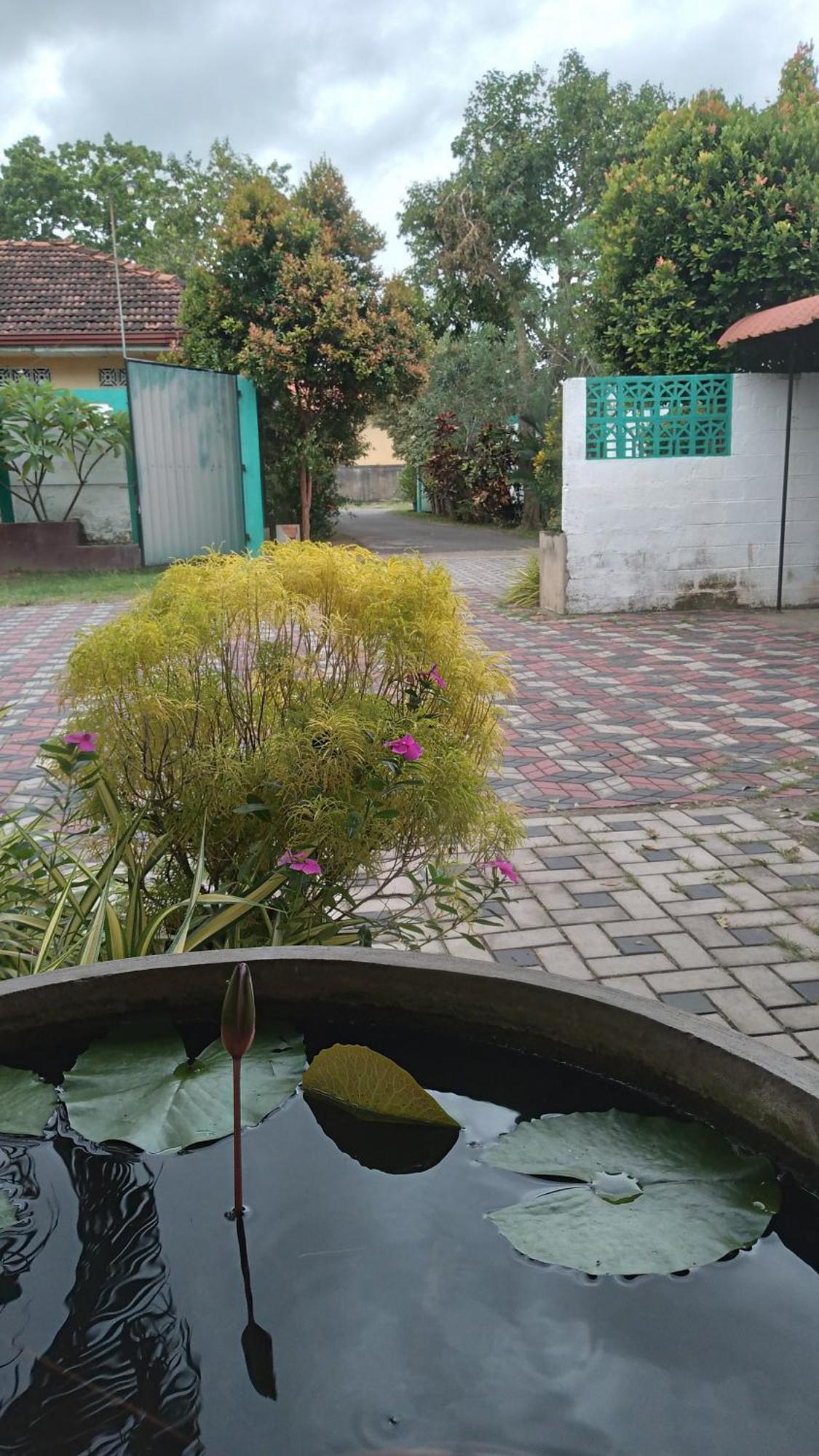 Ch Rooms - Transit Airport Negombo Dış mekan fotoğraf